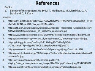 References
Books:
1. Biology of microorganisms By M. T. Madigan, J. M. Martinko, D. A.
Stahl and D. P. Clark
Images:
1. https://lh4.ggpht.com/BL8zyuw37iAzWft6GzMuHTWQ7LmX1pGCKxaXjY_wF8R
uMzVbHGnNAsu-XFO-r6w_ozc8hHM=s125
2. http://cfb.unh.edu/phycokey/Choices/Amoebae_Flagellates_Ciliates/Ciliates/P
ARAMECIUM/Paramecium_05_600x395_caudatum.jpg
3. http://www.bodc.ac.uk/projects/uk/mfmb/introduction/images/diatoms.jpg
4. http://www.microscopy-uk.org.uk/mag/imgsep01/amoebaproteus450.jpg
5. https://lh6.ggpht.com/mkGhpDrT154r8rgB0tTM4wfgOG0-
ULTlnUzmbRT7pvKbgVUoTrBC9XuJEqxTdQkEniP1jQ=s170
6. http://www.ohio.edu/plantbio/vislab/algaeimage/jpegs/nost1nitr.JPG
7. http://protist.i.hosei.ac.jp/PDB/images/Prokaryotes/Nostocaceae/Anabaena/A
nabaena9c.jpg
8. https://s3.amazonaws.com/healthtap-public/ht-
staging/user_answer/reference_image/8742/large/Cholera.jpeg?1344948822
9. http://plantphys.info/organismal/lechtml/images/halobacterium.jpg
 