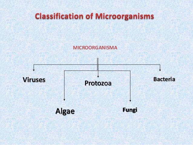 Microbiology