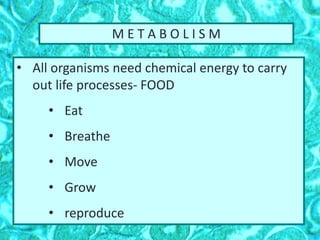 M E T A B O L I S M
• All organisms need chemical energy to carry
out life processes- FOOD
• Eat
• Breathe
• Move
• Grow
• reproduce
 