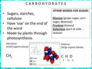 C A R B O H Y D R A T E S
• Sugars, starches,
cellulose
• Have ‘ose’ on the end of
the word
• Made by plants through
photosynthesis.
OTHER WORDS FOR SUGAR:
Glucose (grape sugar, corn
sugar, dextrose)
Fructose (honey)
Galactose (part of milk…
lactose)
Monomer:
(small organic blocks)
CH2
Polymer:
(large organic blocks)
C H O
6 12 6
 