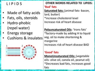 L I P I D S
• Made of fatty acids
• Fats, oils, steroids
• Hydro-phobic
(repel water)
• Energy storage
• Cushions & insulates
OTHER WORDS RELATED TO LIPIDS:
‘Bad’ fats
Saturated fats: (animal fats- bacon,
lard, butter)
*increase cholesterol level
Increase risk of heart disease
Polyunsaturated Oils: ‘trans fats’
*factory-made by adding H to liquid
veg. oil to make shortening &
margarine
Increases risk of heart disease BAD
‘Good’ fats
MonoUnsaturated Oils: (vegetable
oils- olive oil, canola oil, peanut oil)
*Decreases bad fats, increases good
fats
 