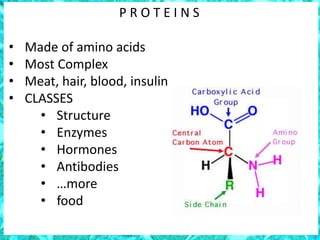 P R O T E I N S
• Made of amino acids
• Most Complex
• Meat, hair, blood, insulin
• CLASSES
• Structure
• Enzymes
• Hormones
• Antibodies
• …more
• food
 