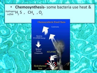 • Chemosynthesis- some bacteria use heat &
H S , CH , O2 4 2
Hydrogen
sulfide
 
