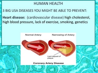 HUMAN HEALTH
3 BIG USA DISEASES YOU MIGHT BE ABLE TO PREVENT:
Heart disease: (cardiovascular disease) high cholesterol,
high blood pressure, lack of exercise, smoking, genetics
 