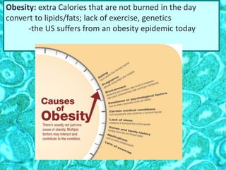 Obesity: extra Calories that are not burned in the day
convert to lipids/fats; lack of exercise, genetics
-the US suffers from an obesity epidemic today
 