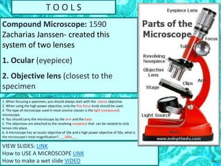 T O O L S
Compound Microscope: 1590
Zacharias Janssen- created this
system of two lenses
1. Ocular (eyepiece)
2. Objective lens (closest to the
specimen
VIEW SLIDES: LINK
How to USE A MICROSCOPE LINK
How to make a wet slide VIDEO
1. When focusing a specimen, you should always start with the coarse objective.
2. When using the high power objective, only the fine focus knob should be used.
3. The type of microscope used in most science classes is the light (compound)
microscope.
4. You should carry the microscope by the arm and the base.
5. The objectives are attached to the revolving nosepiece that can be rotated to click
lenses into place.
6. A microscope has an ocular objective of 10x and a high power objective of 50x, what is
the microscope's total magnification? ___500x___
 