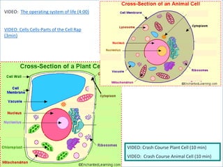 Microbiology1 cells & processes new | PPTX