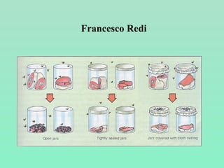 Francesco Redi
 