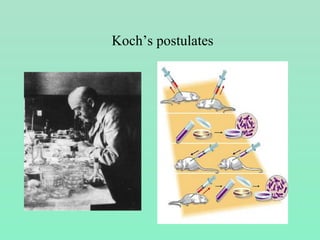 Koch’s postulates
 