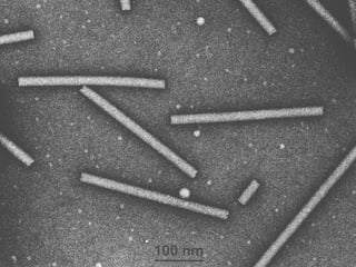 Microbiology – Chapter 1
 