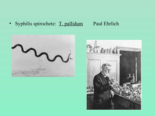 • Syphilis spirochete: T. pallidum Paul Ehrlich
 