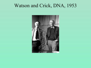 Watson and Crick, DNA, 1953
 