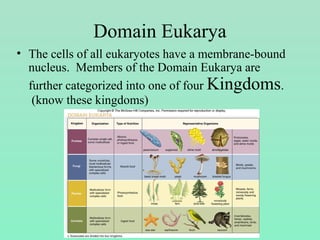 Domain Eukarya
• The cells of all eukaryotes have a membrane-bound
nucleus. Members of the Domain Eukarya are
further categorized into one of four Kingdoms.
(know these kingdoms)
 