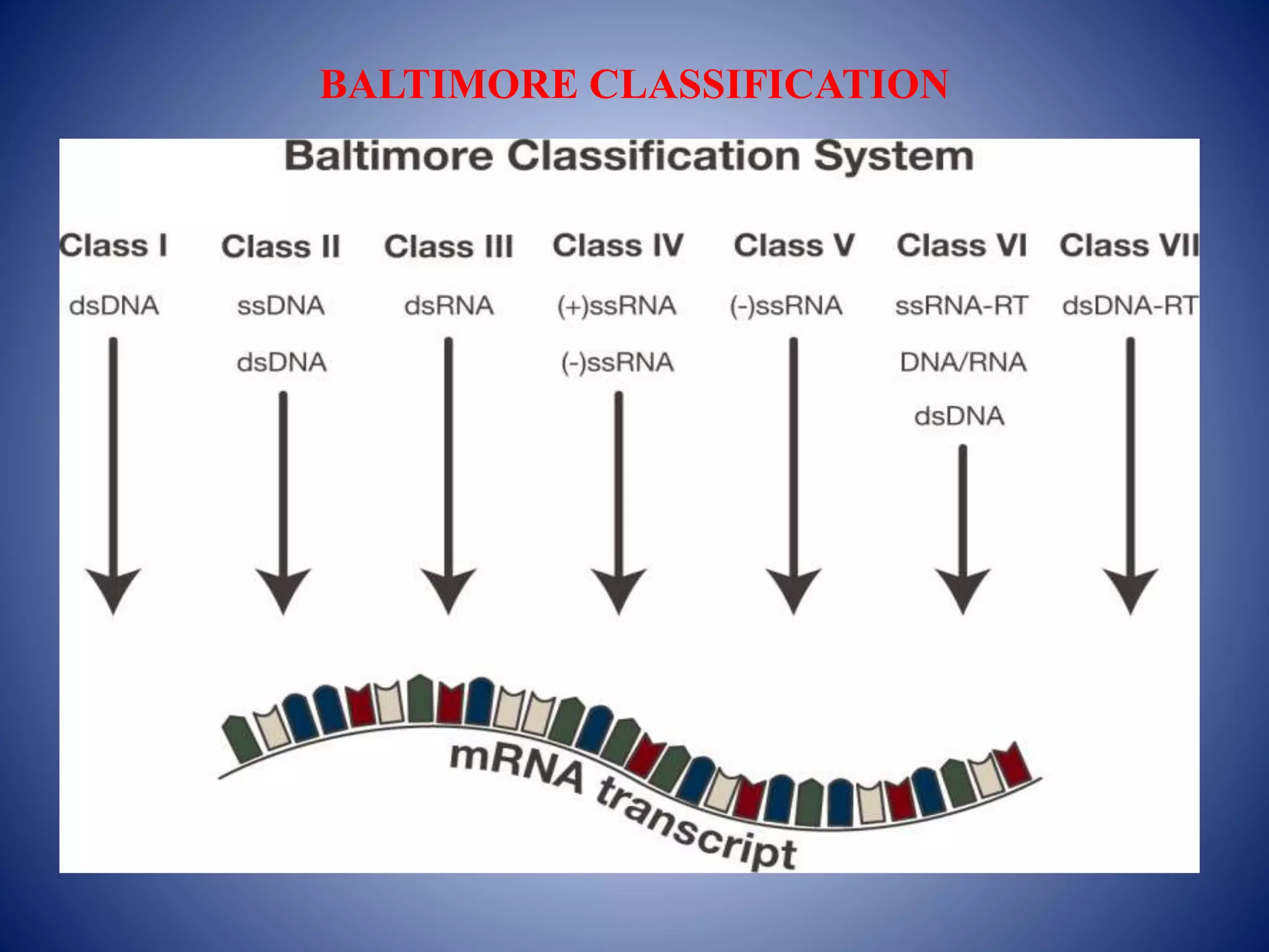 BALTIMORE CLASSIFICATION
 