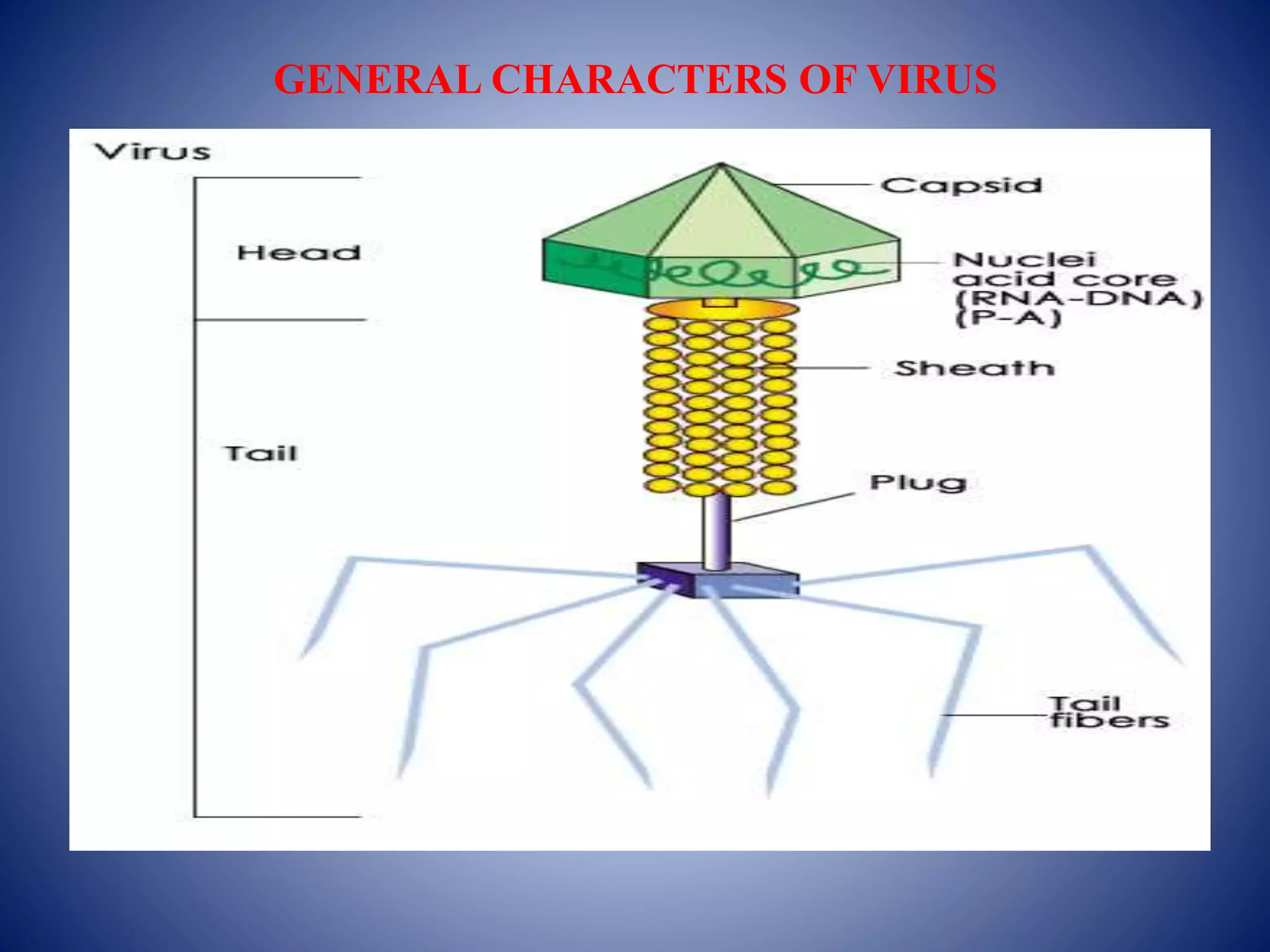 GENERAL CHARACTERS OF VIRUS
 