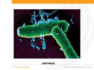 Document Title (Editable via ‘Slide Master’) | Page 10
ANTHRAX
 