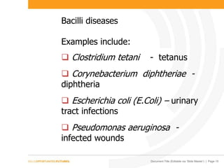 Document Title (Editable via ‘Slide Master’) | Page 15
Bacilli diseases
Examples include:
 Clostridium tetani - tetanus
 Corynebacterium diphtheriae -
diphtheria
 Escherichia coli (E.Coli) – urinary
tract infections
 Pseudomonas aeruginosa -
infected wounds
 