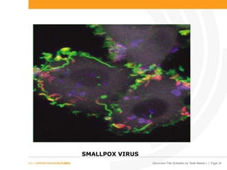 Document Title (Editable via ‘Slide Master’) | Page 24
SMALLPOX VIRUS
 