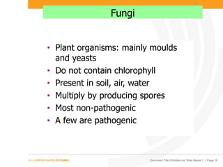 Document Title (Editable via ‘Slide Master’) | Page 26
Fungi
• Plant organisms: mainly moulds
and yeasts
• Do not contain chlorophyll
• Present in soil, air, water
• Multiply by producing spores
• Most non-pathogenic
• A few are pathogenic
 
