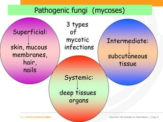 Document Title (Editable via ‘Slide Master’) | Page 27
Pathogenic fungi (mycoses)
Superficial:
skin, mucous
membranes,
hair,
nails
Intermediate:
subcutaneous
tissue
Systemic:
deep tissues
organs
3 types
of
mycotic
infections
 