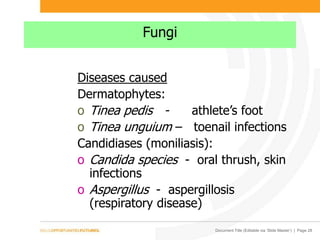 Document Title (Editable via ‘Slide Master’) | Page 28
Fungi
Diseases caused
Dermatophytes:
o Tinea pedis - athlete’s foot
o Tinea unguium – toenail infections
Candidiases (moniliasis):
o Candida species - oral thrush, skin
infections
o Aspergillus - aspergillosis
(respiratory disease)
 