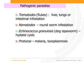 Document Title (Editable via ‘Slide Master’) | Page 31
Pathogenic parasites
o Trematodes (flukes) : liver, lungs or
intestinal infestation
o Nematodes – round worm infestation
o Echinococcus granulosis (dog tapeworm) –
hydatid cysts
o Protozoa – malaria, toxoplasmosis
 