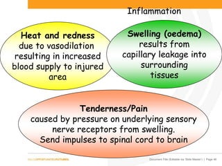 Document Title (Editable via ‘Slide Master’) | Page 46
Inflammation
Heat and redness
due to vasodilation
resulting in increased
blood supply to injured
area
Tenderness/Pain
caused by pressure on underlying sensory
nerve receptors from swelling.
Send impulses to spinal cord to brain
Swelling (oedema)
results from
capillary leakage into
surrounding
tissues
 