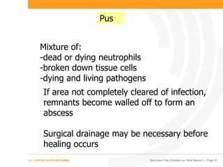 Document Title (Editable via ‘Slide Master’) | Page 47
Pus
Mixture of:
-dead or dying neutrophils
-broken down tissue cells
-dying and living pathogens
If area not completely cleared of infection,
remnants become walled off to form an
abscess
Surgical drainage may be necessary before
healing occurs
 
