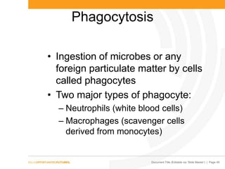 Document Title (Editable via ‘Slide Master’) | Page 49
Phagocytosis
• Ingestion of microbes or any
foreign particulate matter by cells
called phagocytes
• Two major types of phagocyte:
– Neutrophils (white blood cells)
– Macrophages (scavenger cells
derived from monocytes)
 