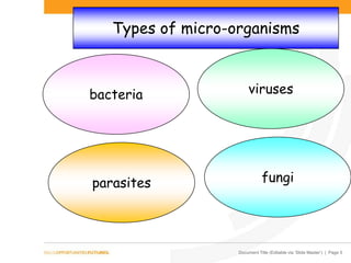 Document Title (Editable via ‘Slide Master’) | Page 5
Types of micro-organisms
bacteria
parasites
viruses
fungi
 