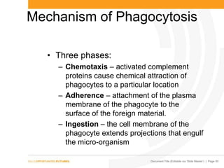 Document Title (Editable via ‘Slide Master’) | Page 50
Mechanism of Phagocytosis
• Three phases:
– Chemotaxis – activated complement
proteins cause chemical attraction of
phagocytes to a particular location
– Adherence – attachment of the plasma
membrane of the phagocyte to the
surface of the foreign material.
– Ingestion – the cell membrane of the
phagocyte extends projections that engulf
the micro-organism
 