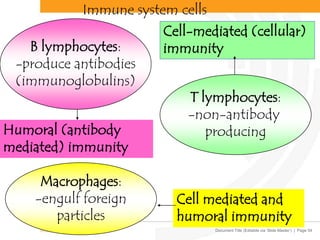 Document Title (Editable via ‘Slide Master’) | Page 54
Immune system cells
B lymphocytes:
-produce antibodies
(immunoglobulins)
T lymphocytes:
-non-antibody
producing
Macrophages:
-engulf foreign
particles
Humoral (antibody
mediated) immunity
Cell mediated and
humoral immunity
Cell-mediated (cellular)
immunity
 