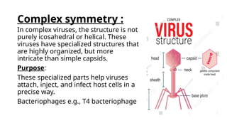 Viral Structure and Morphology Group D.pptx