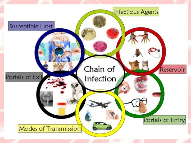 Microbiology2 Pathogens: Notes on spread of infectious disease