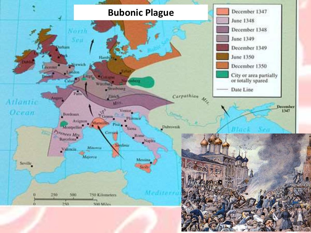 Microbiology2 Pathogens: Notes on spread of infectious disease