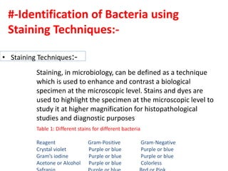 #-Identification of Bacteria using
Staining Techniques:-
• Staining Techniques:-
• Staining, in microbiology, can be defined as a technique
which is used to enhance contrast a biological specimen at the
microscopic level. Stains and dyes are used to highlight the specimen
at the microscopic level to study it at higher
Table 1: Different stains for different bacteria
Reagent Gram-Positive Gram-Negative
Crystal violet Purple or blue Purple or blue
Gram’s iodine Purple or blue Purple or blue
Acetone or Alcohol Purple or blue Colorless
Staining, in microbiology, can be defined as a technique
which is used to enhance and contrast a biological
specimen at the microscopic level. Stains and dyes are
used to highlight the specimen at the microscopic level to
study it at higher magnification for histopathological
studies and diagnostic purposes
 