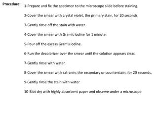 Procedure: 1-Prepare and fix the specimen to the microscope slide before staining.
2-Cover the smear with crystal violet, the primary stain, for 20 seconds.
3-Gently rinse off the stain with water.
4-Cover the smear with Gram’s iodine for 1 minute.
5-Pour off the excess Gram’s iodine.
6-Run the decolorizer over the smear until the solution appears clear.
7-Gently rinse with water.
8-Cover the smear with safranin, the secondary or counterstain, for 20 seconds.
9-Gently rinse the stain with water.
10-Blot dry with highly absorbent paper and observe under a microscope.
 