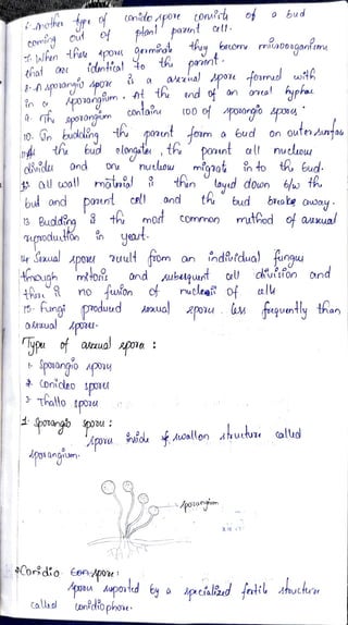moth
COnido Apoit Conur of bud
omi Out Of
nlhun thuk 4po Qermina ty
plan paatnt at
thy
of
ooLorn niDodqani.cms
dnticalo th panent
8-Apoa0ngid dpor a akrua pov foumuol wt
in Apo3ongium At th end ofan oval hypka
that at
o
Contain t00opoongio apo0
. Th spovongium
10.On budolng th ponunt foam a bud on oufe Auitau
n th bud elongates th pount all nudow
des 0nd on nuuou migaat fn to th 6ud
all wal monia thin ayud down 6/w th
bud ond pount and th bud brake auay
13 Bugddin th mOst Common muthod of auua
upnodutto yat
Sinual
4 Siual Apow! uult som an indiidua fungu
rnough mtort
thon
5 Fungi produud
pouy
and subuqunt cll dkuitfon ond
no fuon o nutleeft of alu
Anua 2povu eqvntly than
OAtauapoou
ypu of aBtzua spoa
Spovangio py
.onideo spos
Thallo tpouu
Spovangb Spoou
Apvu viol Auoallon Atuttuze alud
potanorun
povangu
Y
Cordio ¬on-poe
Apoou Aupotd by a cializnd falil ahuche
calldl pnidiophoe
 