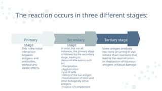 This is the initial
interaction
between
antigens and
antibodies,
without any
visible effects.
In most, but not all,
instances, the primary stage
is followed by the secondary
stage, leading to
demonstrable events such
as :
- Precipitation
- Agglutination
- lysis of cells
- Killing of the live antigen
- Neutralization of toxin and
other biologically active
antigens
- Fixation of complement
Some antigen-antibody
reactions occurring in vivo
initiate chain reactions that
lead to the neutralization
or destruction of injurious
antigens ot tissue damage.
Primary
stage
Secondary
stage
Tertiary stage
The reaction occurs in three different stages:
 