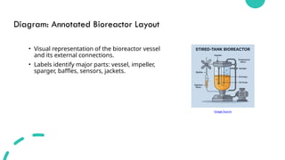 microbiology aerobic.presentation .pptx pre | PPTX
