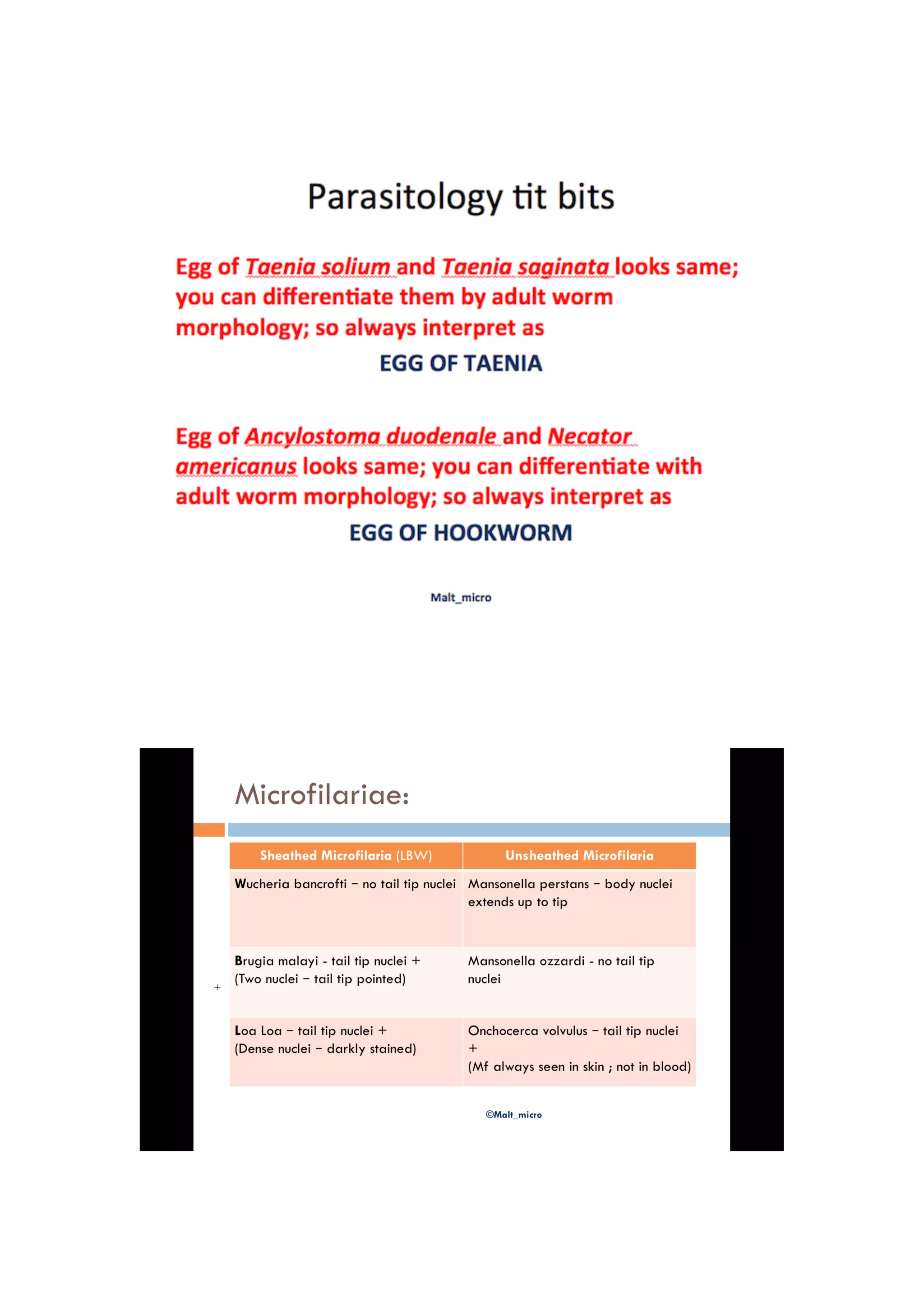 Microbiology – a glimpse for pgmee – important questions and points by malathi m