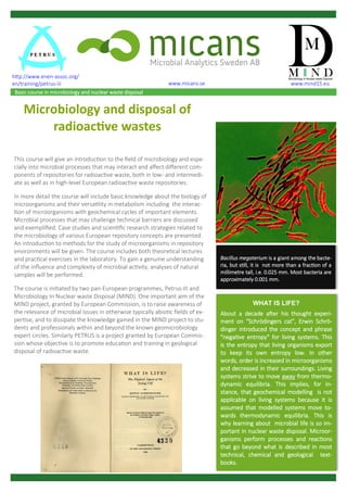 This course will give an introduction to the field of microbiology and espe-
cially into microbial processes that may interact and affect different com-
ponents of repositories for radioactive waste, both in low- and intermedi-
ate as well as in high-level European radioactive waste repositories.
In more detail the course will include basic knowledge about the biology of
microorganisms and their versatility in metabolism including the interac-
tion of microorganisms with geochemical cycles of important elements.
Microbial processes that may challenge technical barriers are discussed
and exemplified. Case studies and scientific research strategies related to
the microbiology of various European repository concepts are presented.
An introduction to methods for the study of microorganisms in repository
environments will be given. The course includes both theoretical lectures
and practical exercises in the laboratory. To gain a genuine understanding
of the influence and complexity of microbial activity, analyses of natural
samples will be performed.
The course is initiated by two pan-European programmes, Petrus-III and
Microbiology In Nuclear waste Disposal (MIND). One important aim of the
MIND project, granted by European Commission, is to raise awareness of
the relevance of microbial issues in otherwise typically abiotic fields of ex-
pertise, and to dissipate the knowledge gained in the MIND project to stu-
dents and professionals within and beyond the known geomicrobiology
expert circles. Similarly PETRUS is a project granted by European Commis-
sion whose objective is to promote education and training in geological
disposal of radioactive waste.
Basic course in microbiology and nuclear waste disposal
WHAT IS LIFE?
About a decade after his thought experi-
ment on “Schrödingers cat”, Erwin Schrö-
dinger introduced the concept and phrase
"negative entropy" for living systems. This
is the entropy that living organisms export
to keep its own entropy low. In other
words, order is increased in microorganisms
and decreased in their surroundings. Living
systems strive to move away from thermo-
dynamic equilibria. This implies, for in-
stance, that geochemical modelling is not
applicable on living systems because it is
assumed that modelled systems move to-
wards thermodynamic equilibria. This is
why learning about microbial life is so im-
portant in nuclear waste disposal. Microor-
ganisms perform processes and reactions
that go beyond what is described in most
technical, chemical and geological text-
books.
Microbiology and disposal of
radioactive wastes
Bacillus megaterium is a giant among the bacte-
ria, but still, it is not more than a fraction of a
millimetre tall, i.e. 0.025 mm. Most bacteria are
approximately 0.001 mm.
www.mind15.eu
http://www.enen-assoc.org/
en/training/petrus-iii www.micans.se
 