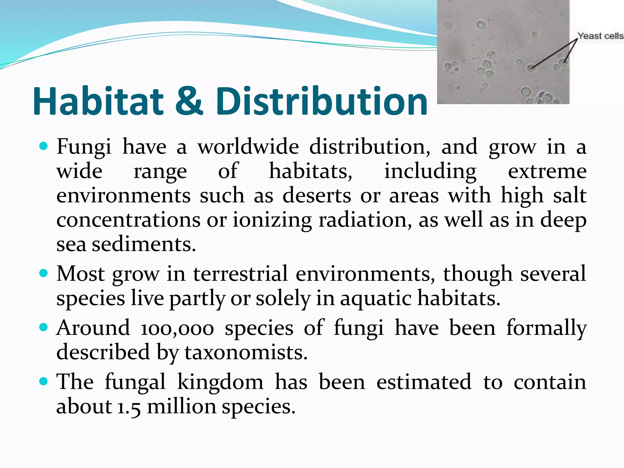 Habitat & Distribution
 Fungi have a worldwide distribution, and grow in a
wide range of habitats, including extreme
environments such as deserts or areas with high salt
concentrations or ionizing radiation, as well as in deep
sea sediments.
 Most grow in terrestrial environments, though several
species live partly or solely in aquatic habitats.
 Around 100,000 species of fungi have been formally
described by taxonomists.
 The fungal kingdom has been estimated to contain
about 1.5 million species.
 