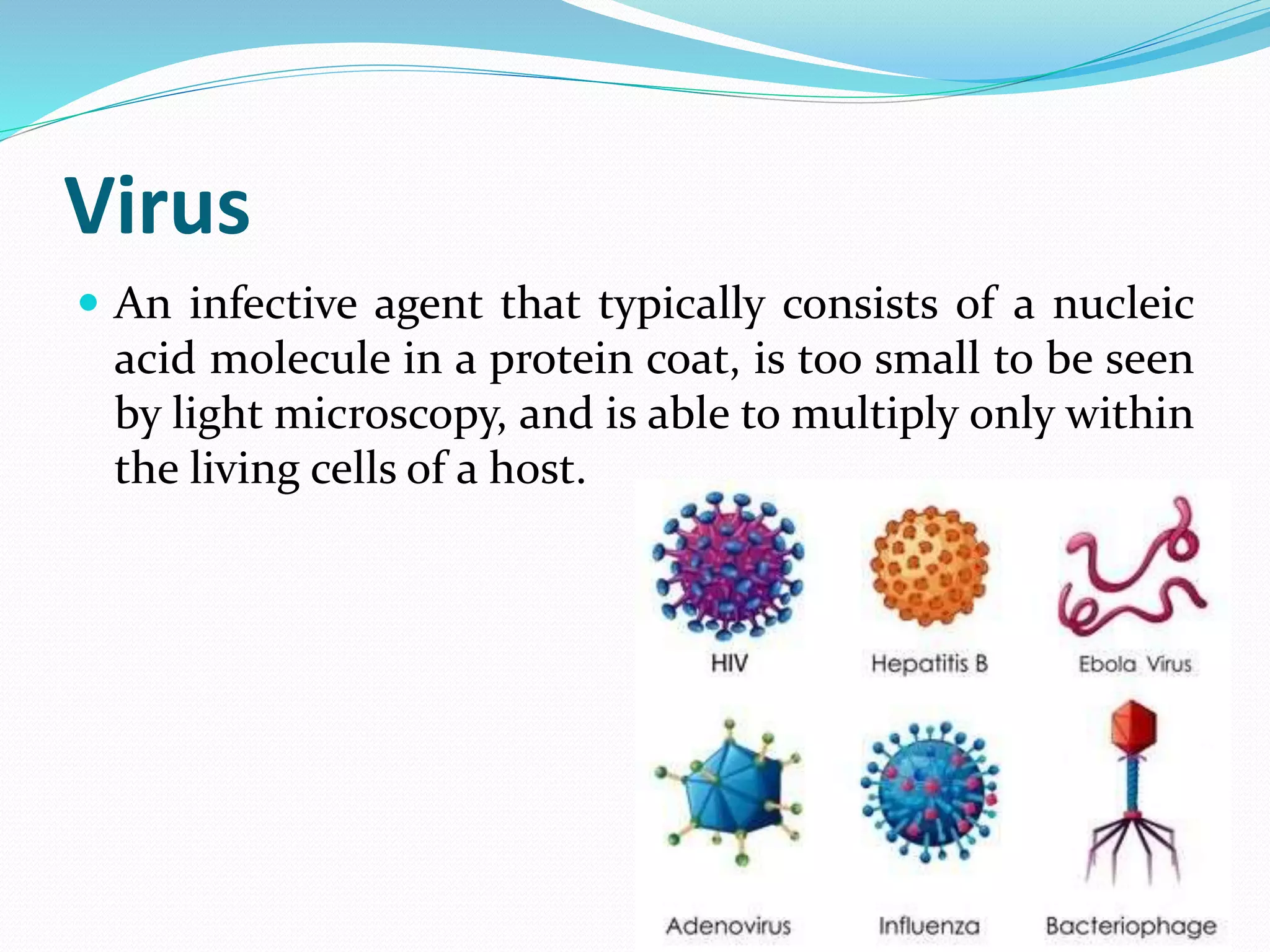 Virus
 An infective agent that typically consists of a nucleic
acid molecule in a protein coat, is too small to be seen
by light microscopy, and is able to multiply only within
the living cells of a host.
 