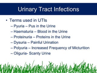 Microbiology &Antibiotics