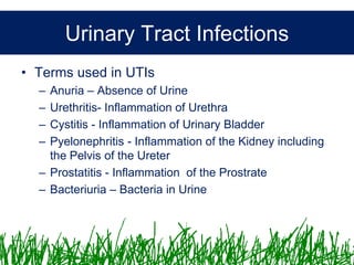 Microbiology &Antibiotics