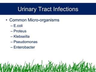 Microbiology &Antibiotics