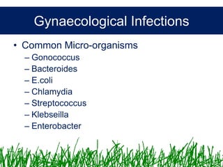 Microbiology &Antibiotics
