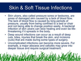 Microbiology &Antibiotics