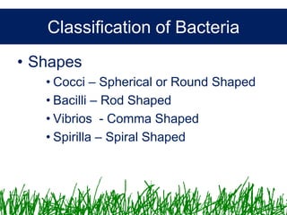 Microbiology &Antibiotics